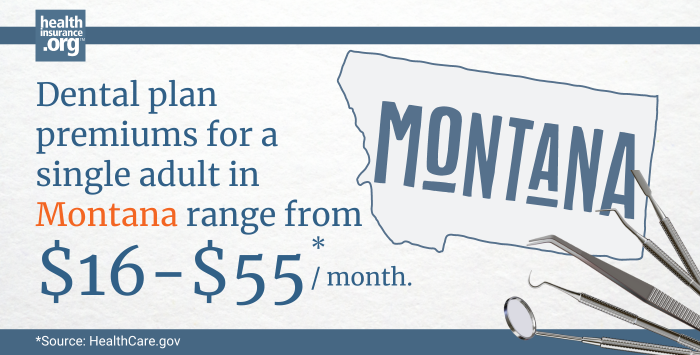 Montana dental insurance premiums