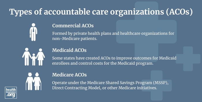 accountable care organization infographic