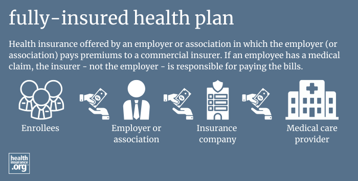 fully-insured health plan infographic