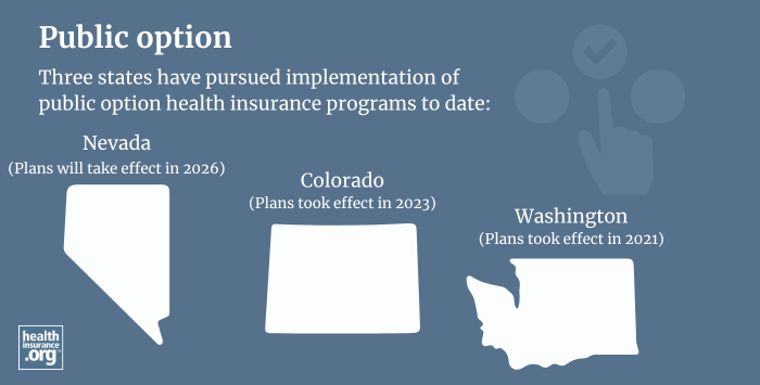 public option infographic