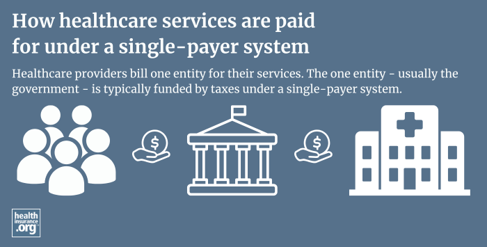 single-payer healthcare system infographic