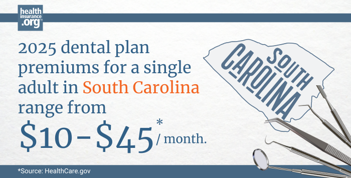 Infographic with the text 2025 dental plan premiums for a single adult in South Carolina rage from $10 to $45 per month.