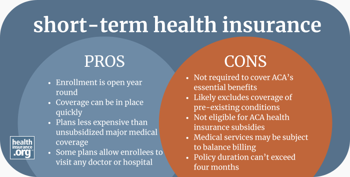 Infographic regarding the pros and cons of Short-term health insurance